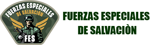 Logo Fes